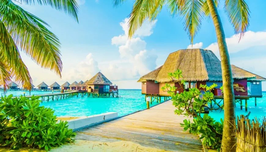Dream. Explore. Discover. Where Will You Go Next?