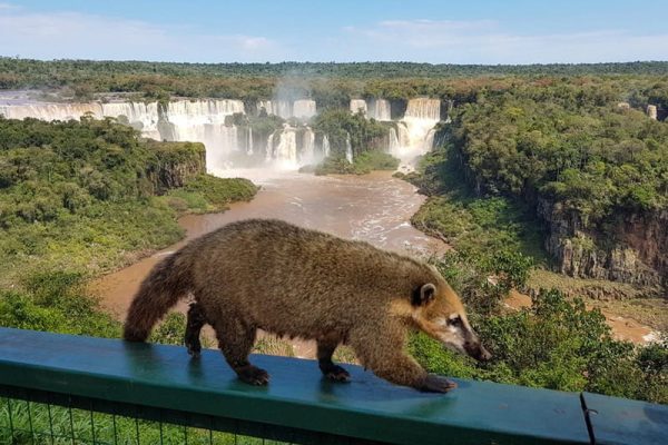 Cataratas del Iguazú